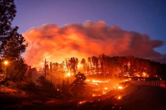 Wind Driven Fire Burns Homes in Southern California