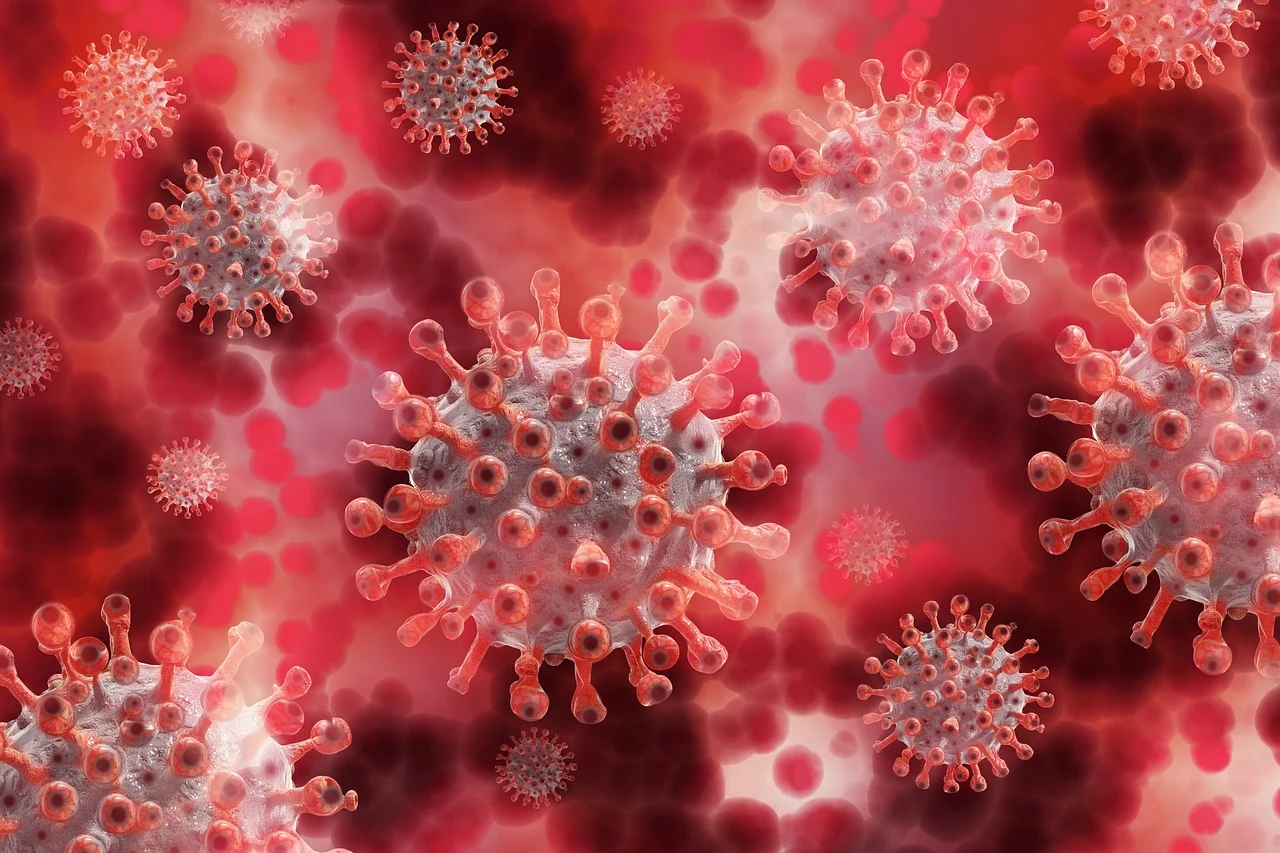 France Confirms World’s First Human Case of Shamonda Virus After Patient Dies in Lyon
