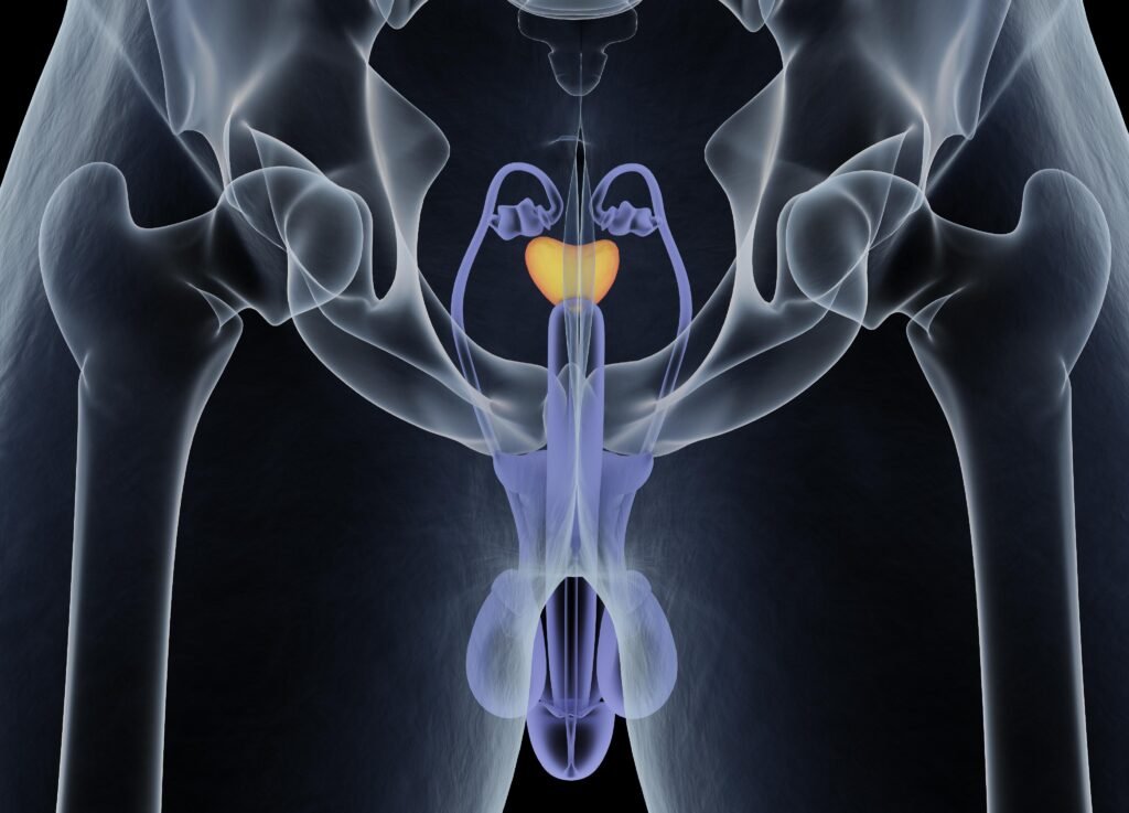 Blood Proteins May Signal Prostate Cancer Risk More Than a Decade Before Diagnosis