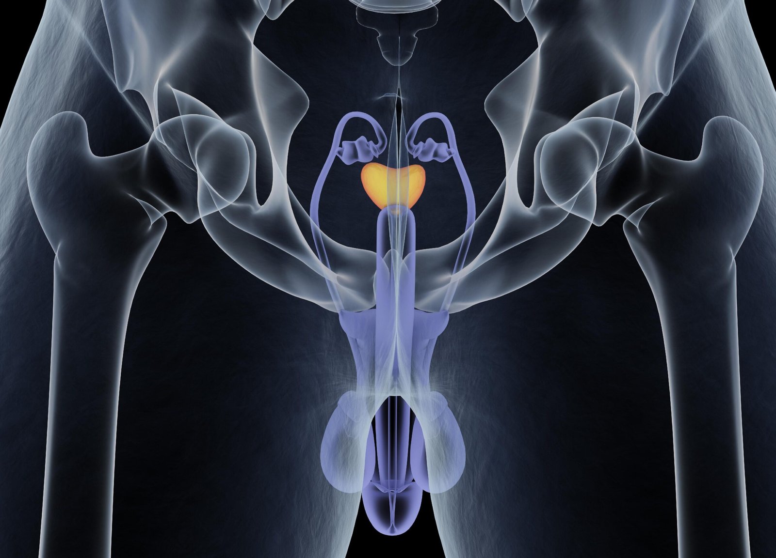 Blood Proteins May Signal Prostate Cancer Risk More Than a Decade Before Diagnosis